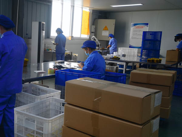 哪里有膏藥加工廠？膏藥貼牌廠家哪家好？